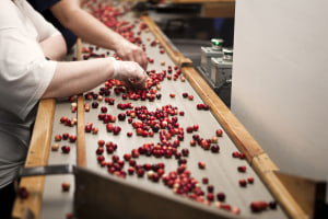 Calculating cold chain emissions