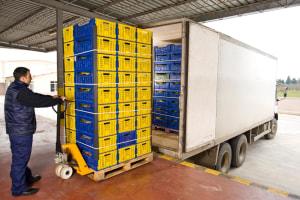 Golden rules for cold chain