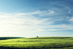 Video: how to take great landscapes with boring skies