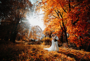 Wedding photographer sued $22,000 for breaching contract 