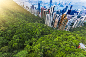 Flashback is offering a six-month paid stay in Hong Kong for one lucky photographer