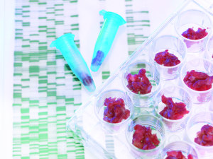 Gen Z concerns around lab-grown meat
