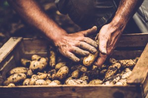ACCC green lights Mitolo, TFI acquisition