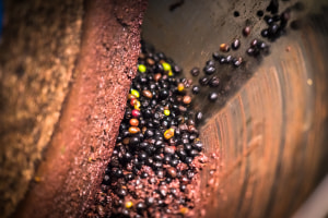 Olive oil byproducts become packaging solution