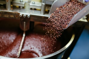 Cocoa-free choc: manufacturers eye next steps in volatile market