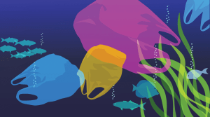 Soft plastics in Australia, what's the state of play?
