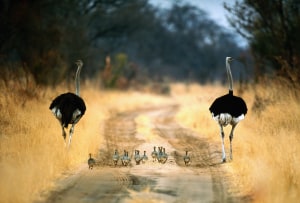 Enter our free monthly photo comp for September