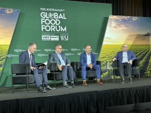 GFF Forum: A lot of potential, too many hurdles