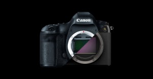 Canon 5D Mark III vs Fujifilm GFX100S - comparing a 10-year-old camera to a modern one