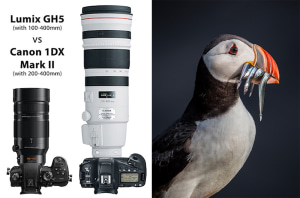 Opinion: Why mirrorless is more and DSLR&rsquo;s are dead