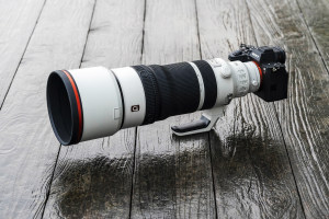 Review: Sony 100-400mm f/4.5 GM OSS lens