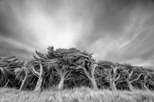 NZ Southern Explorer Photo Tour, 21st &ndash; 27th September 2026 | Departs Queenstown