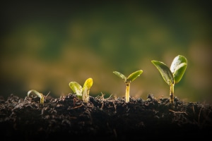 GNT looks for investment opportunities