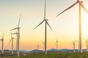 Wind farm a golden opportunity 