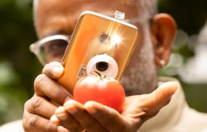 Magnify food waste 