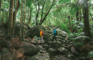 Sounds of nature: Gondwana Rainforests of Australia