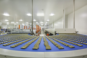 How Arnott's is making a new business