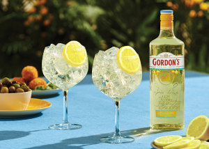 A zest for flavoured gin
