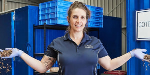 Maggot robots to the food waste rescue