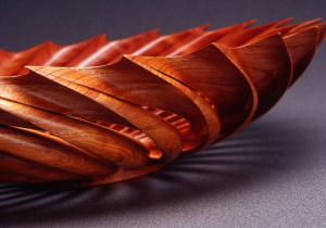 Wood: reading the grain