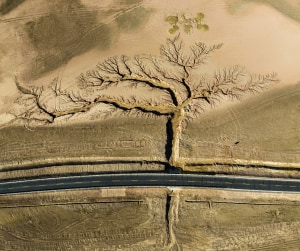 Aussies lauded at Nature Conservancy&rsquo;s 2022 Global Photo Contest