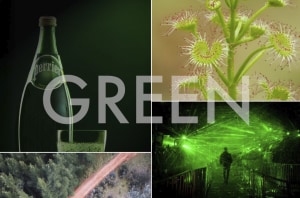 January 'Green' Free monthly photo comp: The winners!