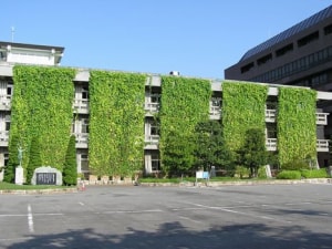 Green curtains open window to eco-Kyocera