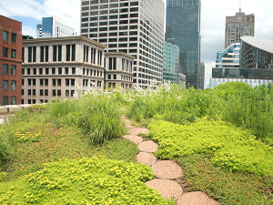 Study proves cool roofs reduce energy, urban heating 