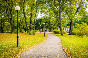 Urban green space essential to good health