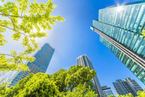 GBCA celebrates Green Star milestone