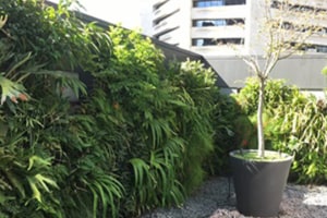 Wanted: Eco-friendly office 