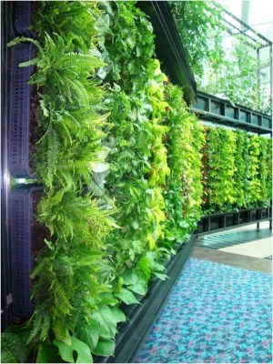 Smart ideas for a greener business