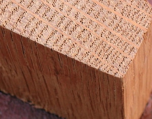 What makes wood 'hard' or 'soft'