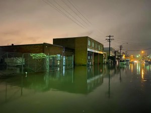 Flood destroys 100 artworks by Sydney photographer