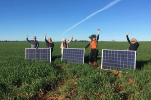 Solar garden now covers whole grid
