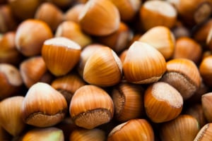 Profit pathway for emerging hazelnut industry