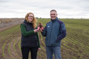 Asahi implements barley chain