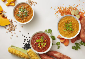 Plant Proteinz to fill the gap