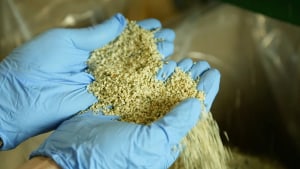 Elixinol Wellness to acquire Ananda Food
