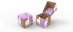 Students turn peanut waste into sustainable packaging