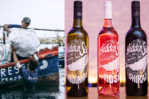 Hidden Sea hits 10m ocean plastic bottles milestone