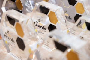 THE HIVE AWARDS: We have our winners! 