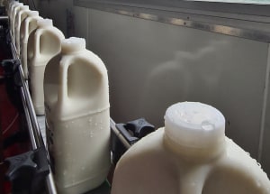 Little Big Dairy makes circular move to clear caps