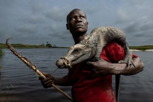 Aussie photographers shine in BigPicture photo competition