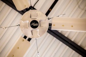 Fan company seeks partners 