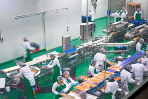 JBS, Huon acquisition closer following FIRB approval