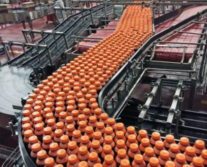 $165m plant upgrade enables liquid gold launch for CCA