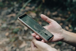 How phone maps failed to save Tassie bushwalker