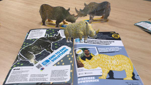 #rhinosdownunder cover pushes boundaries in brand engagement