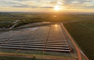 Casella Family Brands switches on Yenda solar facility